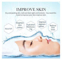 Masque facial Ovilz OEM à la niacinamide et à la vitamine C, masque en feuille éclaircissant, hydratant et illuminateur pour le soin du visage