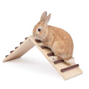 Best Selling Wooden Rabbits Guinea Pigs Bridge Springboard <b>Ladder</b> Pet Perch Ramp for <b>Small</b> Animals - Product Image 1