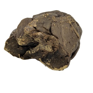 Extrait de <span class=keywords><strong>Propolis</strong></span> Brut en Vrac de Qualité Supérieure – <span class=keywords><strong>Prix</strong></span> Compétitif – Frais et Biologique – Fournisseur Direct - Product Image 1