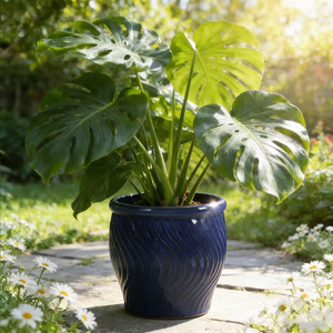 Set di 3 Vasi in Ceramica Smaltata di Alta Qualità per <span class=keywords><strong>Piante</strong></span> <span class=keywords><strong>da</strong></span> Giardino e <span class=keywords><strong>da</strong></span> Interno - Product Image 4