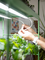 Vente chaude Agie Light Gardens Smart Home Produit LED magnétique élèvent des lumières