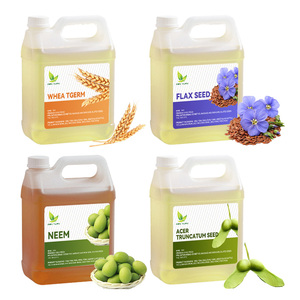 زيت عضوي نقي مكرر من جنين القمح وبذور الكتان وزيت النيم وبذور القيقب، زيت حامل طبيعي بدرجة مستحضرات التجميل - Product Image 1