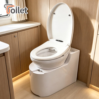 Toilette intelligente Tune RV, toilette mobile, bidet biodégradable, WC portable sans odeur, équipement de caravane, fournisseur en gros