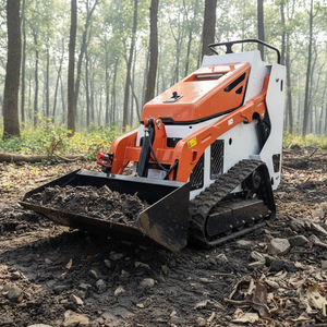 Mini-chargeuse compacte avec souffleuse à neige et godets, livraison gratuite – Mini-chargeuse sur chenilles pour jardin - Product Image 1