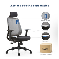 Chaise de bureau moderne en vente directe d'usine Chaise de bureau ergonomique en maille Équipement de bureau Chaise d'ordinateur
