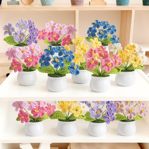 Plantas en maceta de olvido-amo (Forget-Me-Not) hechas a mano y personalizadas, regalos para el Día de la Madre, plantas en maceta directamente de fábrica, plantas en maceta en lotes. - Product Image 3