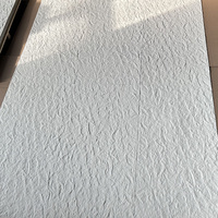 Panneaux de revêtement mural extérieur en poudre d'argile modifiée ignifuge et imperméable, revêtement de façade flexible pour hôtels et bureaux