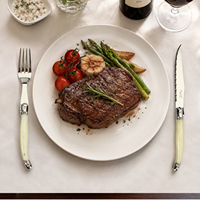 Couteau à steak de luxe en acier inoxydable Laguiole, ensemble de 6 couteaux de table dans un coffret cadeau