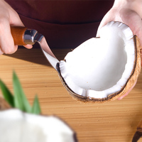 Couteau à noix de coco en acier inoxydable, outil en noix de coco avec manche en bois, ouvreur, grattoir à viande de noix de coco