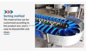 304 Stainless Steel Vegetable and Fruit Sorting Machinery PLC Controlled Abalone Weight Grading <b>Machine</b> Sea Oysters Grader - Product Image 4