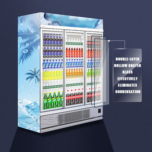 Refrigerador Comercial con Puerta de Vidrio, Congelador Vertical, Enfriador Directo de Bebidas para Almacenamiento de Bebidas Frías - Product Image 6