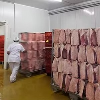 Conteneur de 20 pieds, chambre froide mobile alimentée par énergie solaire, avec moteur automatique, pour la conservation de la viande, des fruits de mer et de la volaille