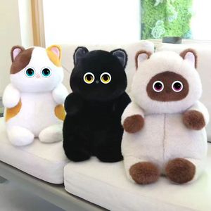 Lindo Juguete de Peluche de Gato con IA, Compañero Inteligente Interactivo con ChatGPT, Expresión Emocional, Chat Multilingüe para Niños, Regalo Educativo - Product Image 1