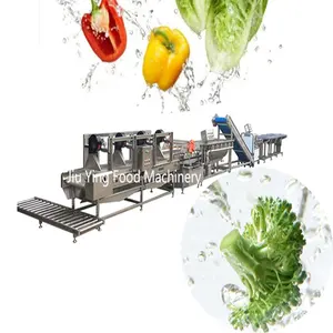 Industrial Vegetable Salad Cabbage Lettuce Washing Cutting Dewatering Processing Production Line