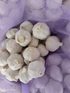 Vente chaude 5cm-6cm <span class=keywords><strong>Ail</strong></span> chinois frais Organique <span class=keywords><strong>Tête</strong></span> crue Inodore Violet Blanc Rouge Maille Direct Grossiste Stockage <span class=keywords><strong>à</strong></span> sec Premium - Product Image 4