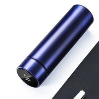 Bouteille d'eau professionnelle en acier inoxydable de 500 ml, mug isotherme avec logo personnalisé, design résistant aux chutes, bouteilles de température cadeau