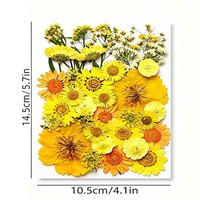 Lot de 40 fleurs séchées naturelles pressées, herbes séchées mélangées, fleurs et feuilles naturelles séchées et pressées pour la résine, pour l'art et le bricolage