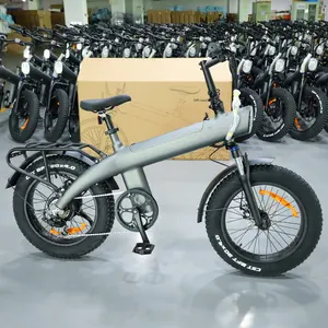 美国欧罗巴股票电动自行车20英寸27.5英寸大轮胎自行车脂肪自行车电动直通ebike 750瓦自行车电动48伏