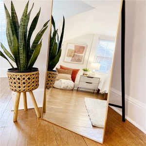 Internet Celebrity Explosive Models Delicate Ultra-clear Explosion-proof Full Length <b>Mirror</b> for Indoor Living Room Bedroom - Product Image 6