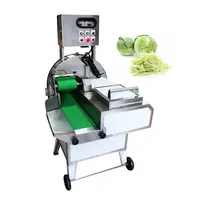 Desktop Mini Multifunctional Vegetable Cutter Cutting Cilantro Leek  Scallion Cutting Machine Commercial Celery Slicing Machine