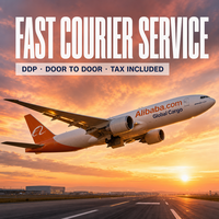 Agent d'expédition aérienne rapide et sécurisée DDP Chine vers Malaisie Canada Express DHL Fedex Consolidation de fret Consolidateur de marchandises