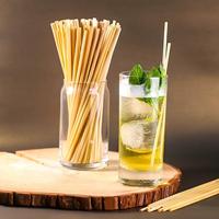 Nouvelles idées de produits : Pailles jetables biodégradables en paille de riz et de blé