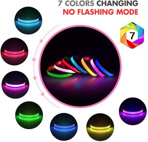 Neonglo kerah lampu klasik dapat diatur kalung hewan peliharaan LED nilon tahan air & kalung anjing untuk produk promosi Acara hewan peliharaan berjalan - Product Image 5
