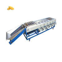 Fruit Sizer Grader Blueberry Grading Sorting Avocado Fruit Sorting Calibrating Machine