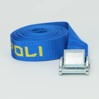 Sangles d'arrimage à boucle à came en polyester 100 % de 25 mm, avec anneau, pour transport, logo imprimé – Vente chaude