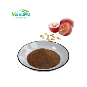 Low Price Natural Grape Seed Extract Powder Grape Seed Extract
