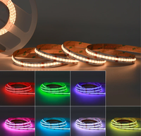 Bande LED COB RGBCW 840 LED/m DC24V 12mm 21W/m 5m Sans points Lumineux Dimmable IP20 pour Armoire Domestique