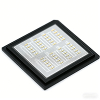 Diodo Láser de Emisión Lateral de Alta Potencia J Light 830nm 1W, Chip de Diodo Láser de Emisor Único, Venta al por Mayor