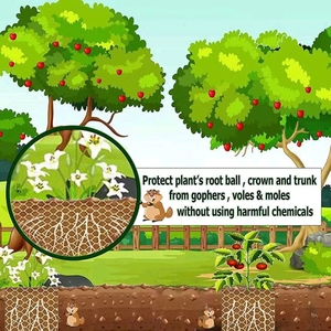 Panier en treillis métallique tressé en acier inoxydable 304, plissé et pliable, pour protection contre les taupes, les gophers et les racines, pour jardin, arbres et arbustes - Product Image 6