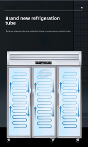 Refrigerador Colgante de Bajo Ruido para Exhibición de Carne en la Sección de Carnes del Supermercado - Product Image 5