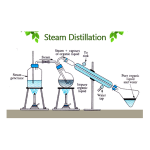 Étiquettes personnalisées Huile essentielle de bois 10 ml Huile essentielle de bois de santal pour le corps Utilisation quotidienne Soins de la peau Fabrication d'aromathérapie Soins du visage - Product Image 4