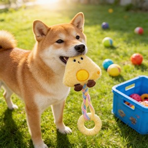 Jouets à mâcher en peluche mignons pour petits chiens, anneaux de dentition couineurs de dessin animé, ensemble de jouets d'intérieur pour animaux de compagnie - Product Image 1