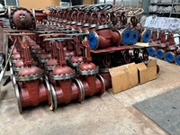 Vanne à opercule 3/4/6/8 pouces DN80/DN100/DN150/DN200, acier inoxydable 316L/304L/CF8M/CF3/Duplex 2205/Inconel625, classe 150, à brides