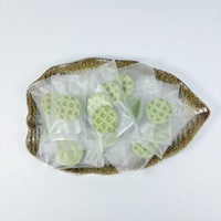 Biscuits lyophilisés de chou frisé de qualité supérieure pour chats et chiens, en gros, emballés individuellement, boîte complète, riches en protéines, pour toutes les étapes de vie
