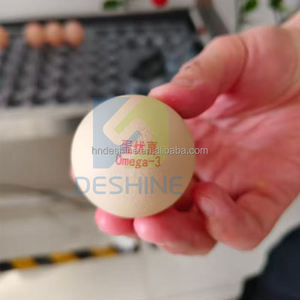 Machine d'impression jet d'encre automatique pour œufs, machine à marquer la date sur les œufs, imprimante jet d'encre - Product Image 6