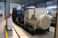 Groupe électrogène diesel, alternateur, régulateur de tension automatique (AVR), commande électronique du moteur (ECU)