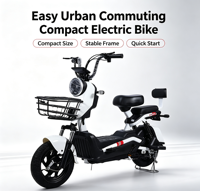 Vélo Électrique Personnalisé OEM ODM avec Logo, 48V 500W, Vélo de Ville pour Adultes, Moteur Brushless, Longue Autonomie, Vélo de Navetteur, Vente en Gros Usine