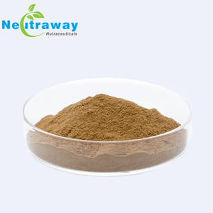 Extracto de seta de León, mezcla con bioperina, 7 en 1, Natural, Cordyceps, Reishi, Chaga, Maitake, cola de pavo - Product Image 2