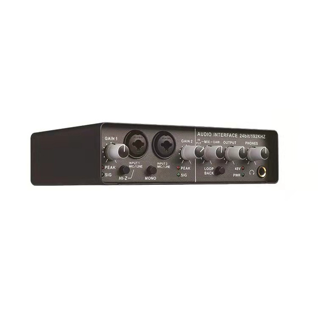2 Channel USB Audio Interface 2 XLR Input 24Bit 192KHz Sound Card 48V Phantom Hi Z Guitar Recording Streaming Factory Made