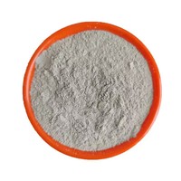 Poudre de bauxite à haute teneur en alumine 65-85 %, chamotte pour la fonte, réfractaire industriel, four, coulable, poudre de bauxite