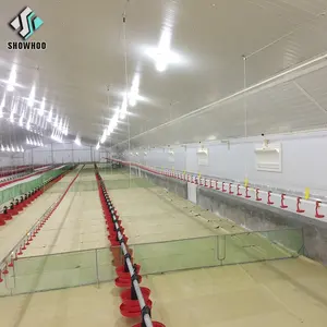 A Modern Prefabricated Automated Steel Frame Poultry House Construction