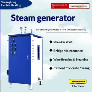 Caldera industrial de 48 kW para humidificación de algodón, calefacción de invernaderos, generador para elaboración de cerveza y máquina de curado. - Product Image 1
