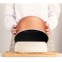 Cuisinières à pression 5L 6L 8L 10L 12L, cuiseur à riz, grande capacité, en acier inoxydable, intelligent, numérique, multifonction, électrique