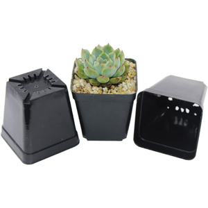 <span class=keywords><strong>Pot</strong></span> de semis en plastique multi-tailles de qualité supérieure avec trous de drainage pour le développement des racines, <span class=keywords><strong>pot</strong></span> de pépinière durable, <span class=keywords><strong>pot</strong></span> de <span class=keywords><strong>serre</strong></span> pour plantes - Product Image 1