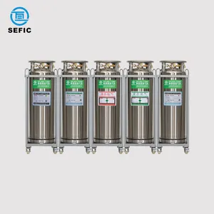 SEFIC圧力容器ステンレス鋼シリンダーLO2LN2貯蔵タンクデュワータンク液体窒素容器