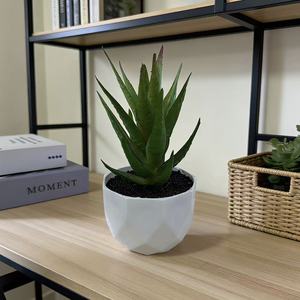 Mini bonsaï artificiel en aloe vera succulente, 14 cm de haut, plante en pot en plastique, vert rouge, décoration moderne pour la maison - Product Image 3